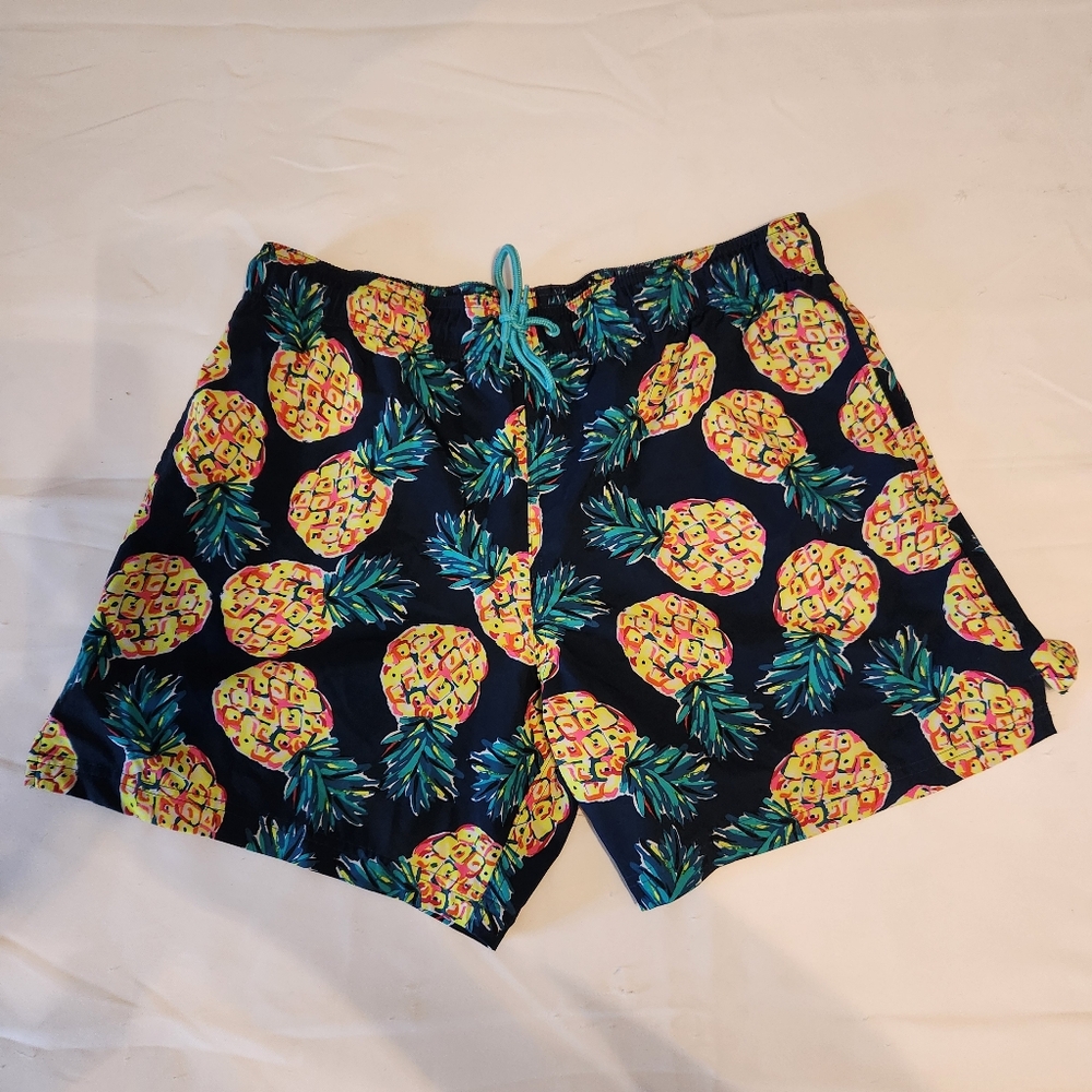 Pineapple Bathing Suit Men's Large